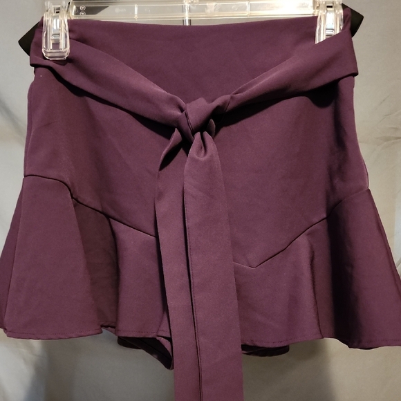Zara Pants - Zara Deep Purple Skirt/skort